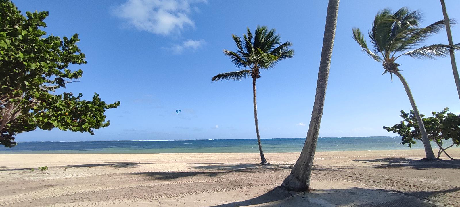 Serenade Punta Cana Beach & Spa Resort