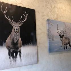 Tundra Hotel