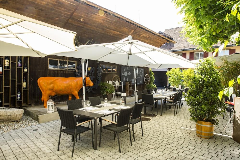 Hotel Ochsen & Lodge