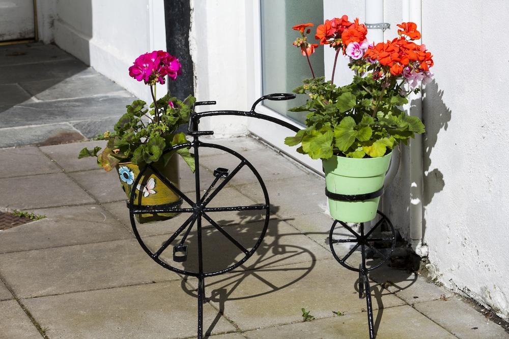 Dublin Vacation Rentals