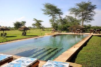 Africa Safari Lake Manyara