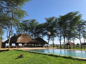 Africa Safari Lake Manyara