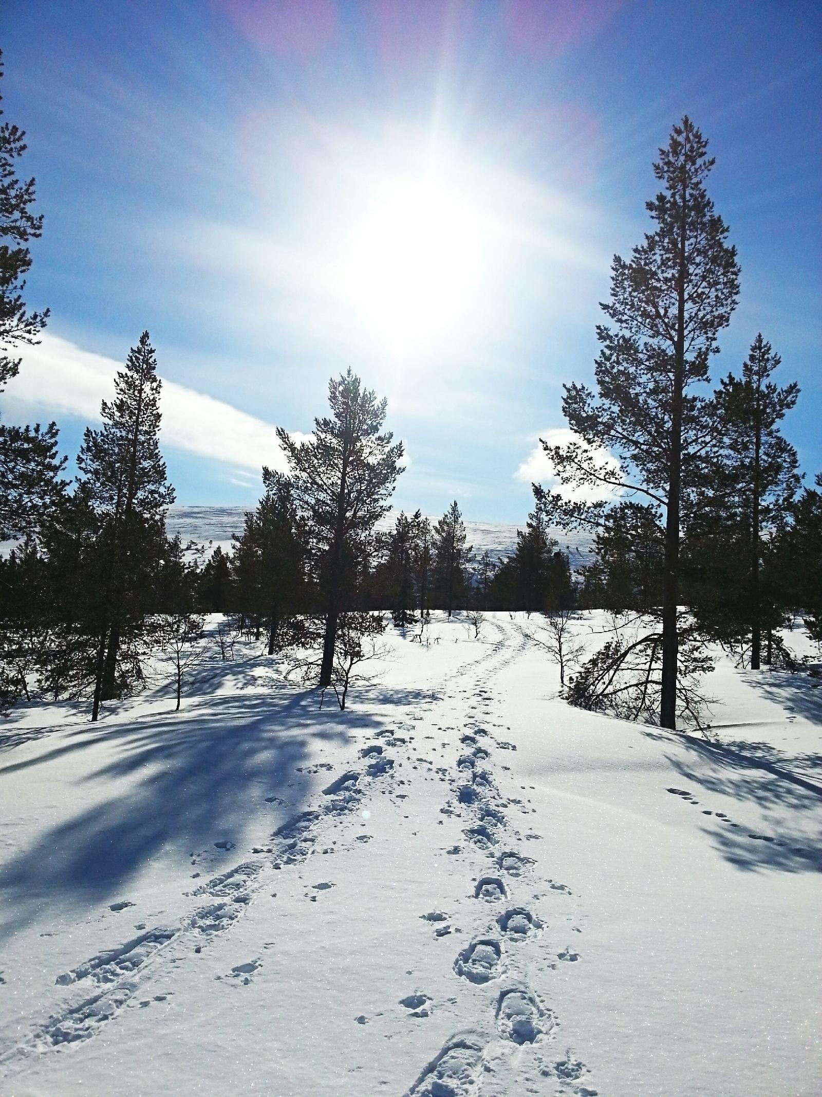 Seita Holiday Resort