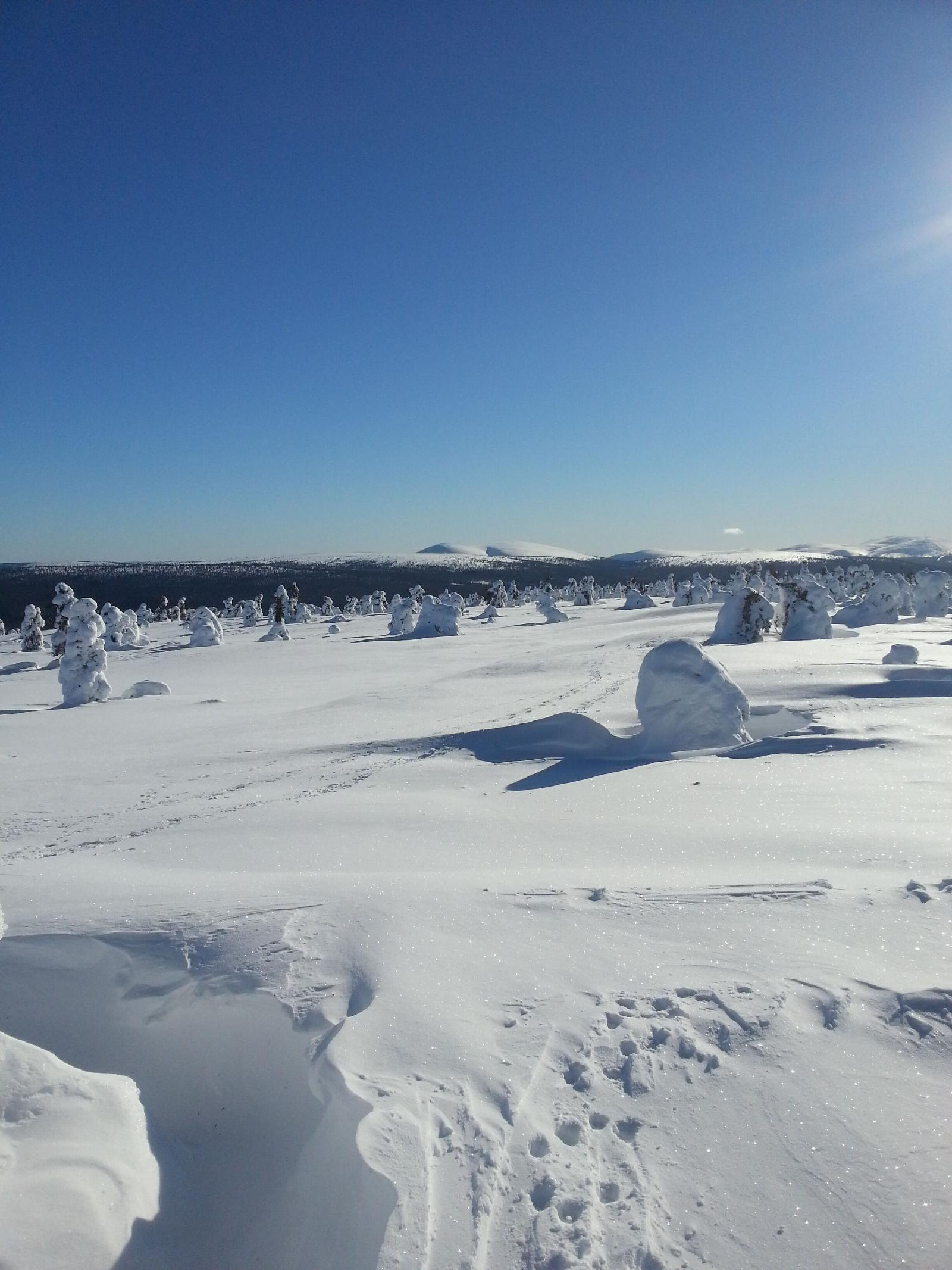 Seita Holiday Resort