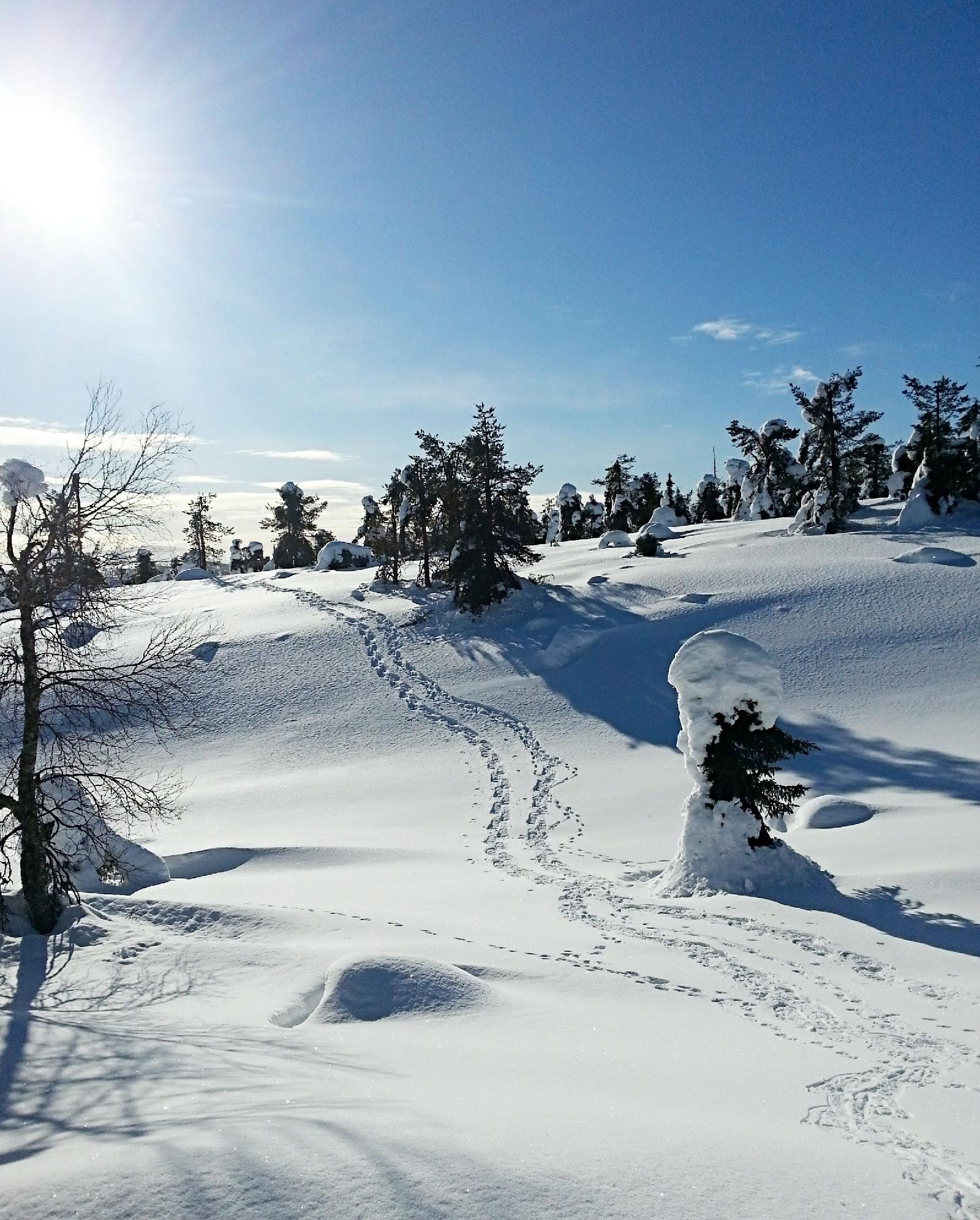 Seita Holiday Resort