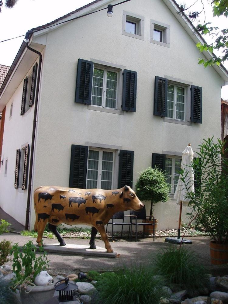 Hotel Ochsen & Lodge
