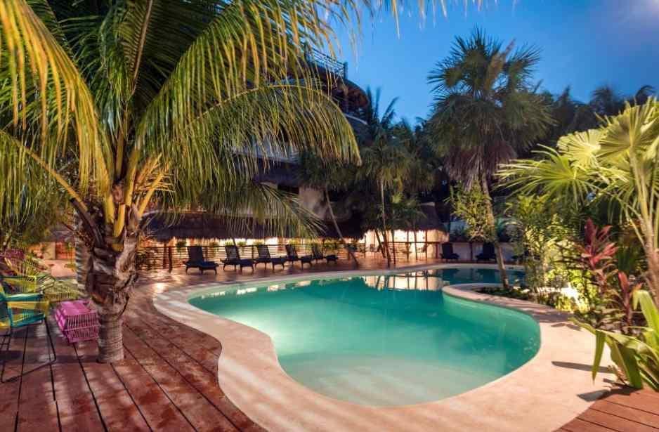 Tropical Suites by MIJ