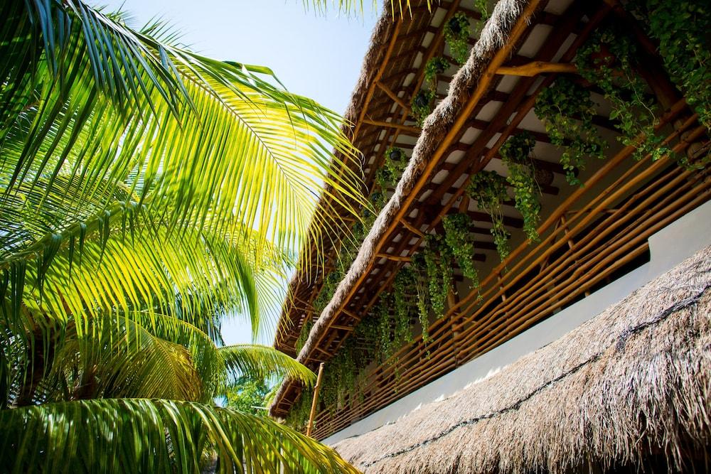 Tropical Suites by MIJ