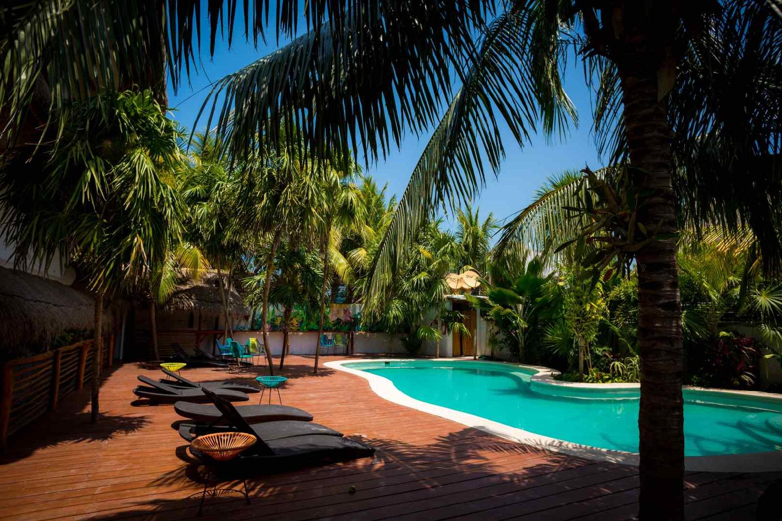 Tropical Suites by MIJ