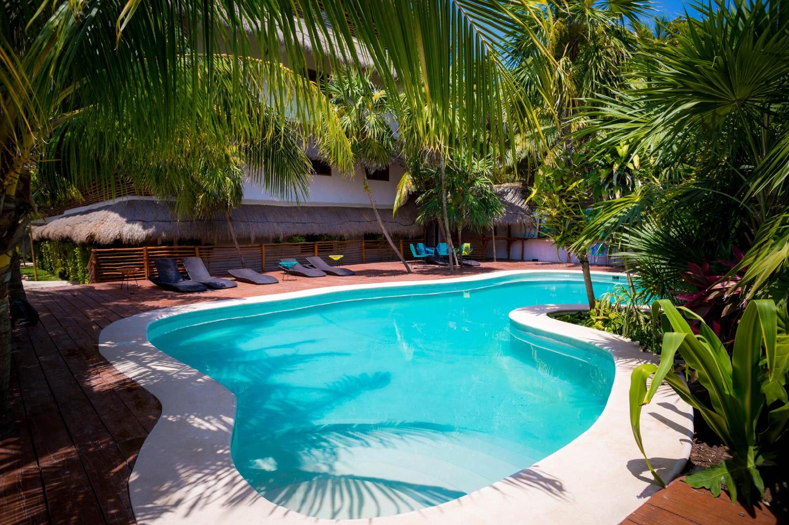Tropical Suites by MIJ
