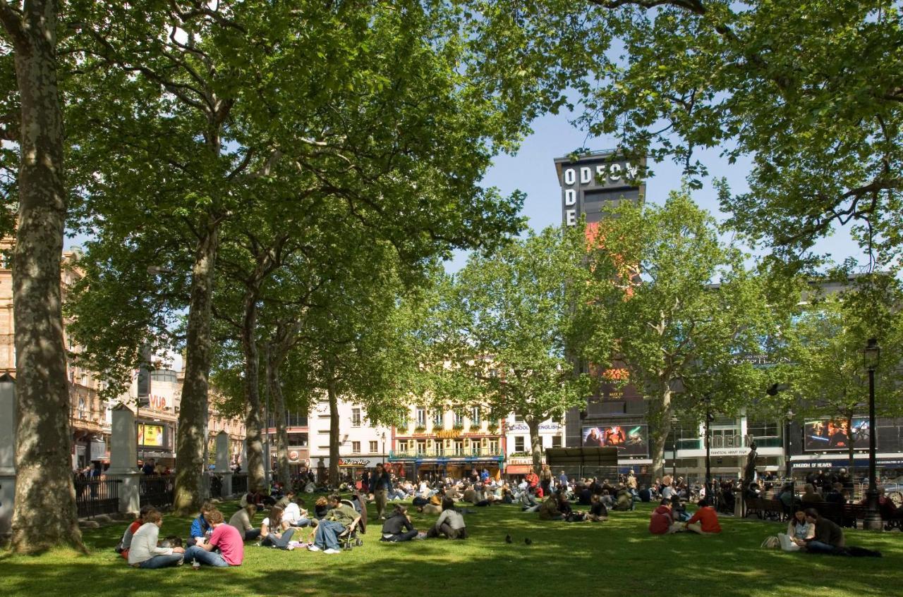Zedwell Piccadilly
