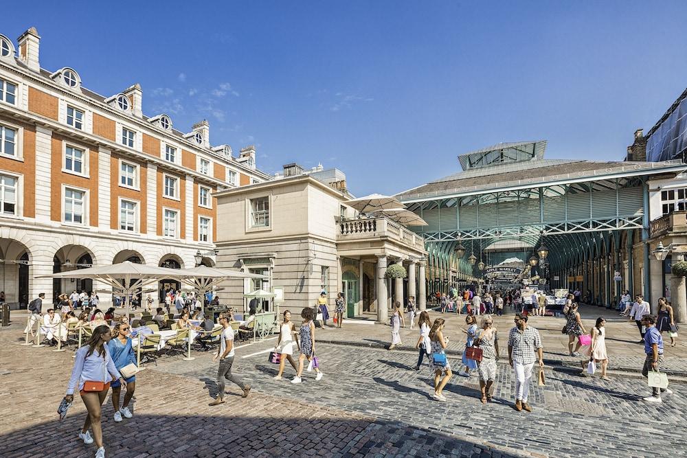 Zedwell Piccadilly