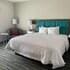 Hampton Inn Monahans
