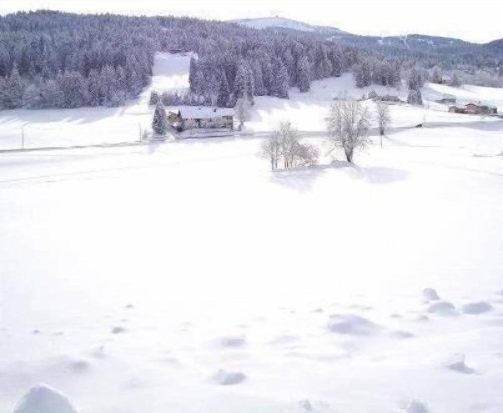 Hotel Les Arobiers