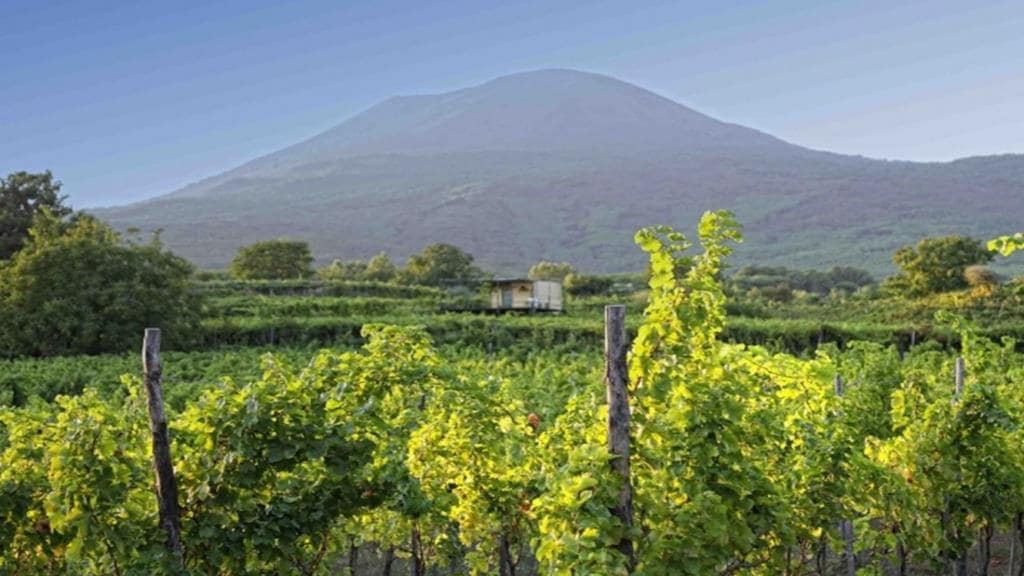 Vesuvio Inn