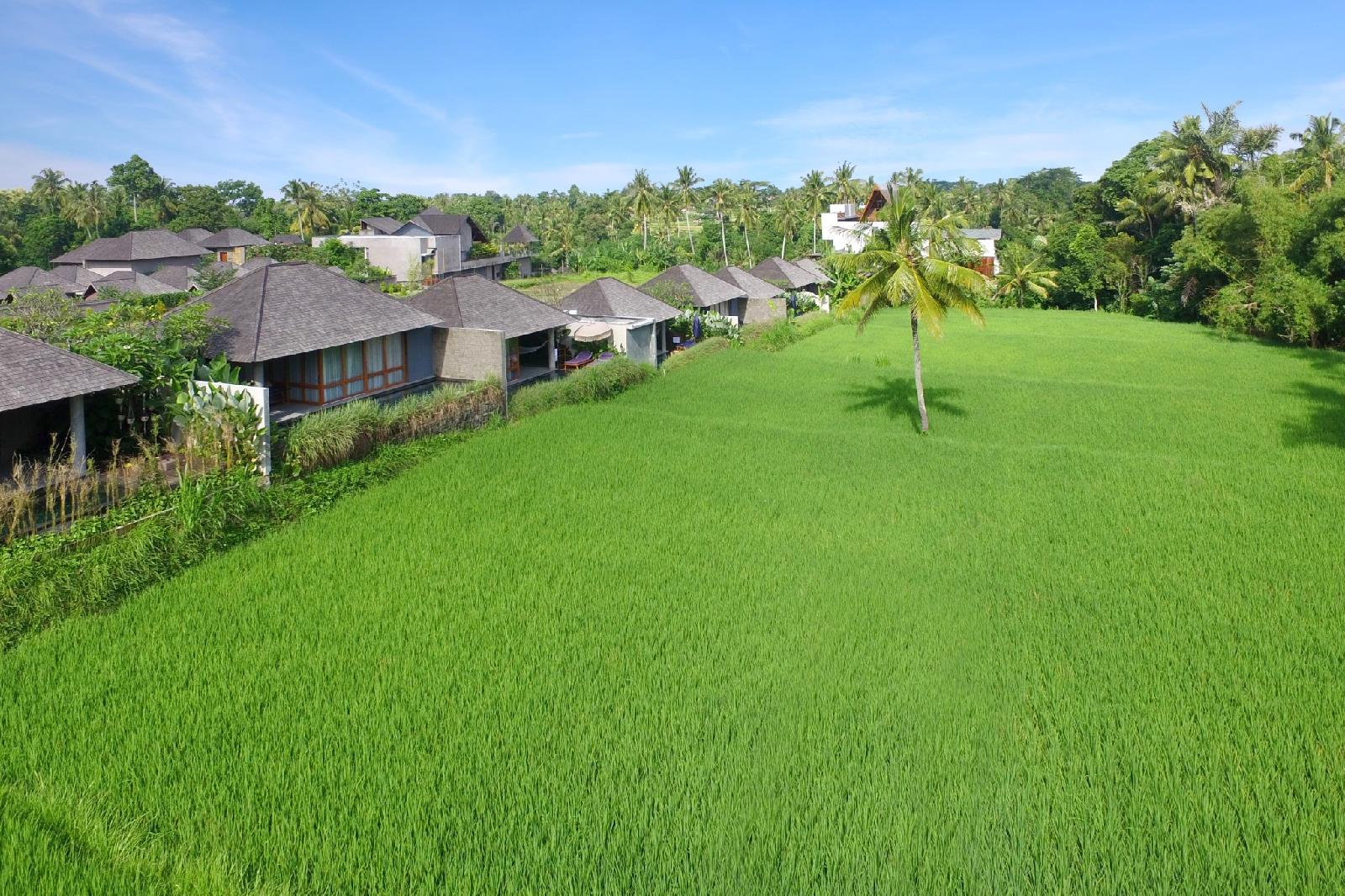 Kaamala Luxury Resort & Spa Ubud By Ini Vie Hospitality