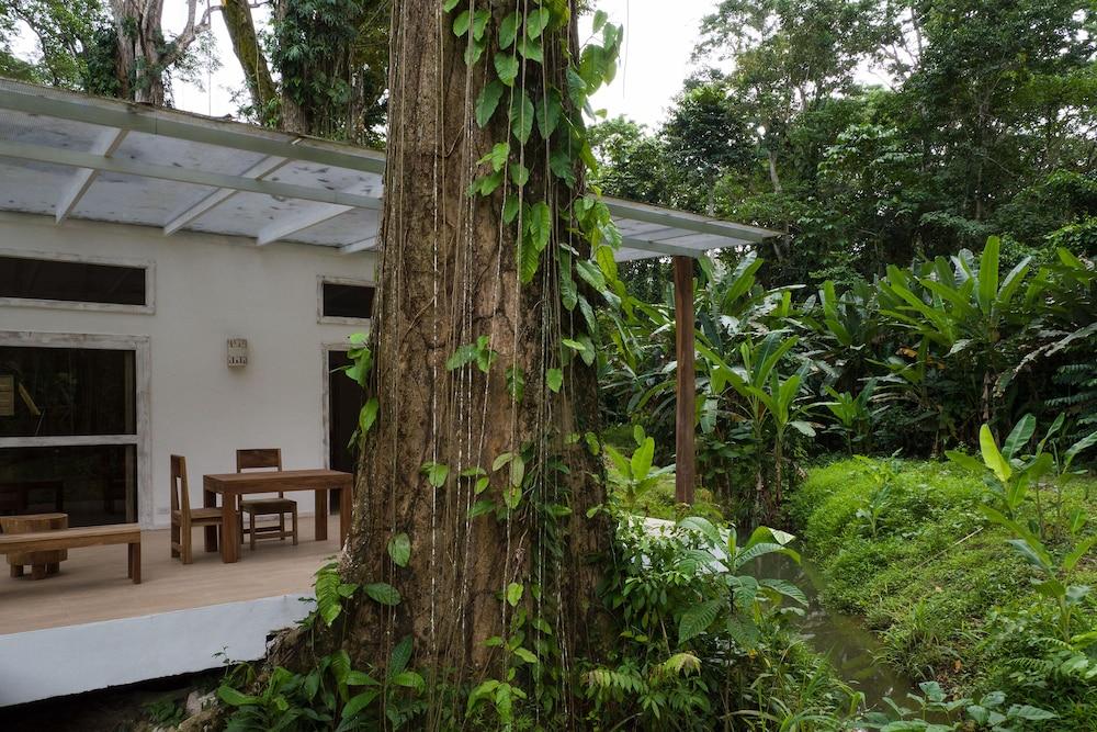 Sonora Jungle & Yoga Retreat