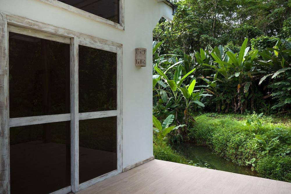 Sonora Jungle & Yoga Retreat