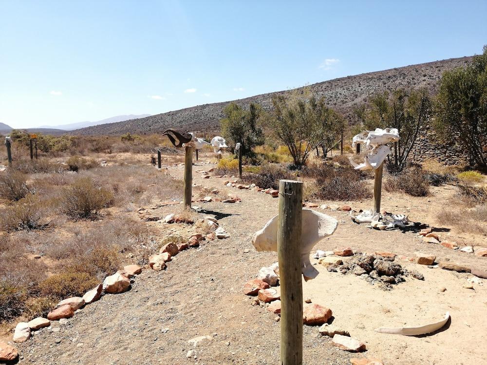 Gondwana Family Lodge Sanbona Wildlife Reserve