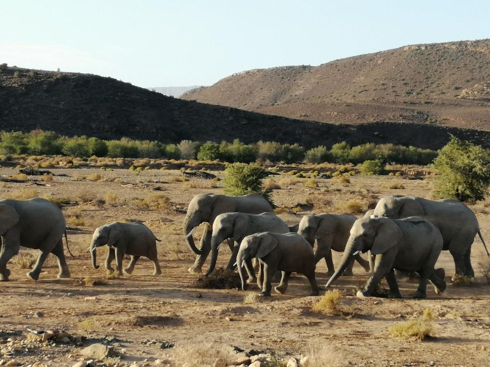 Gondwana Family Lodge Sanbona Wildlife Reserve