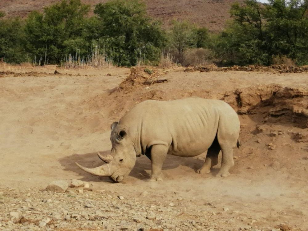 Gondwana Family Lodge Sanbona Wildlife Reserve