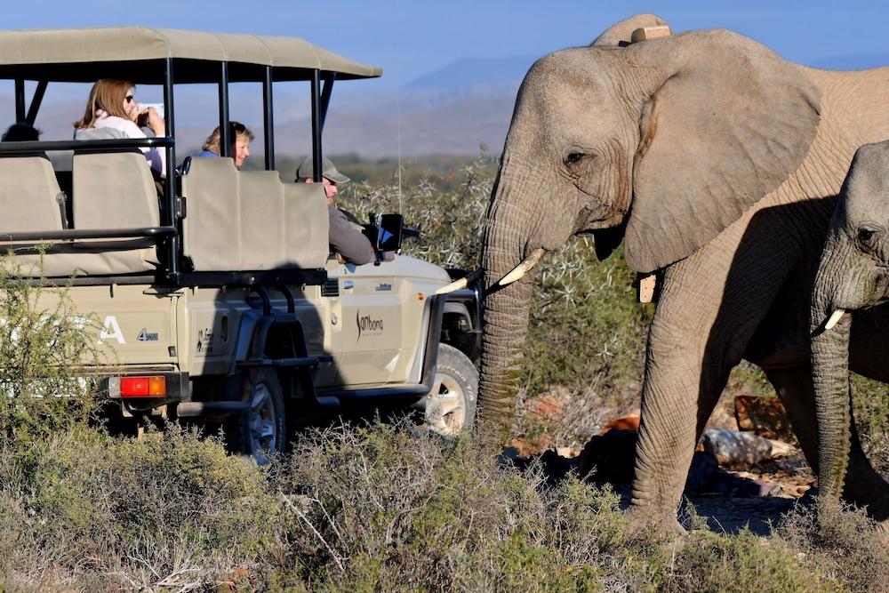 Gondwana Family Lodge Sanbona Wildlife Reserve