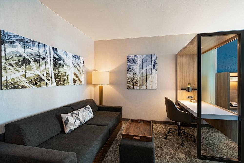 SpringHill Suites Dallas Richardson/University Area