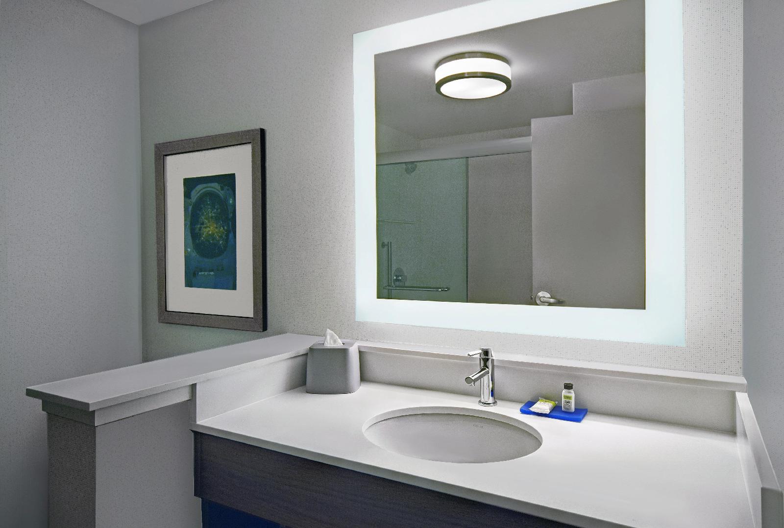 Holiday Inn Express Houston Galleria Area