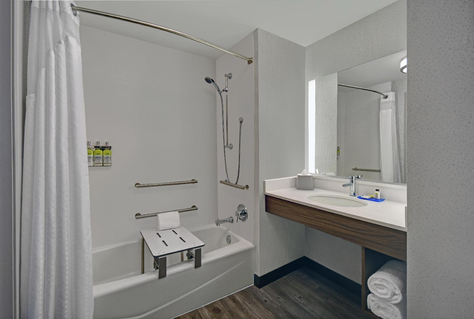 Holiday Inn Express Houston Galleria Area