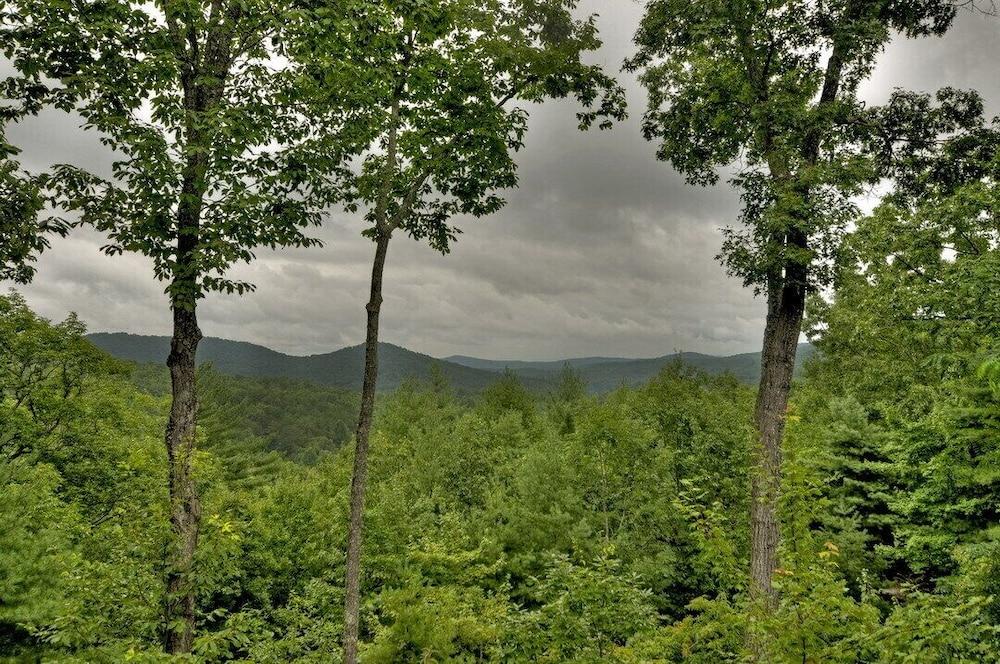 Treasure In The Trees