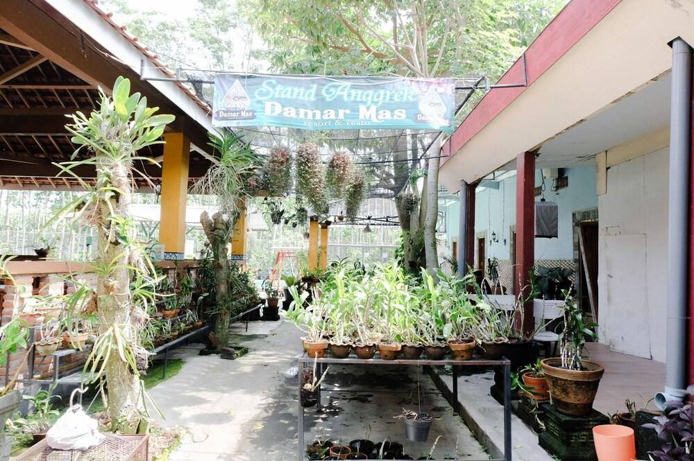 Damar Mas Resort Lereng Kelud by OYO Rooms