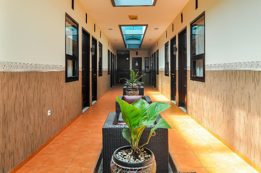Oyo 897 D'Dhave Hotel