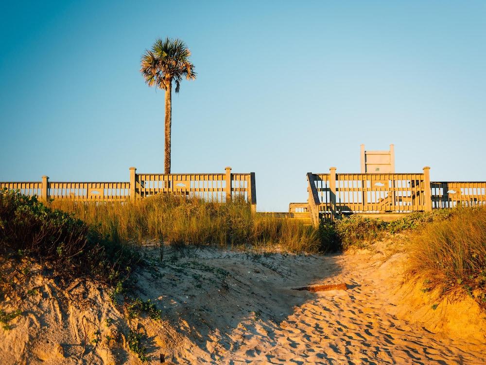 Coquina Dreams