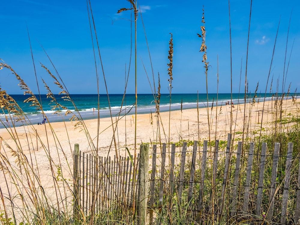 Coquina Dreams
