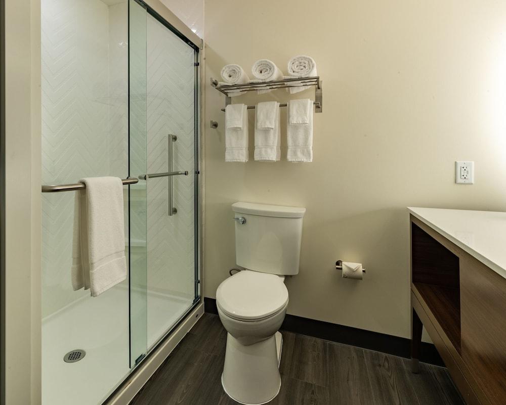 Holiday Inn & Suites Atlanta N - Chamblee Dunwoody