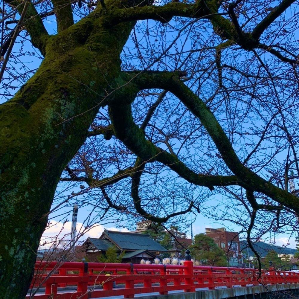 Hotel Wood Takayama