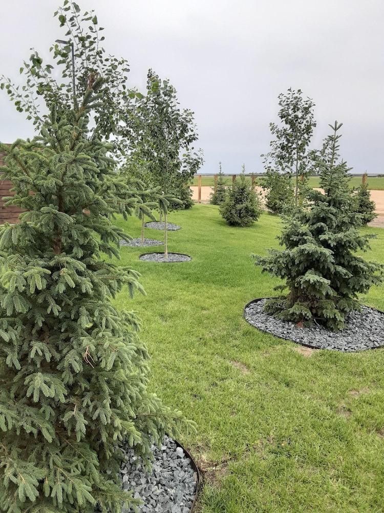 Best Western Plus Dauphin