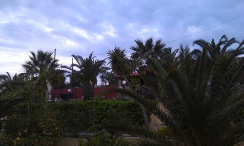 Studios Rania