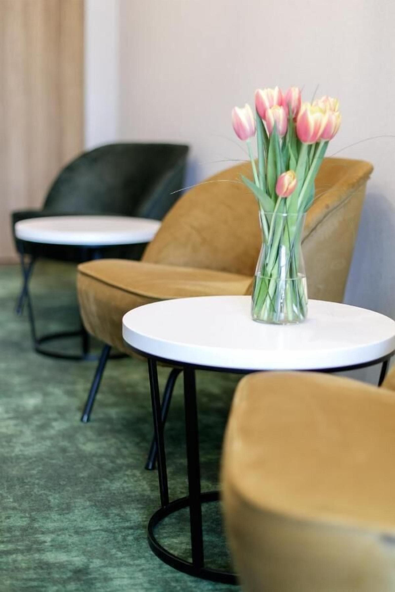 ibis Styles Tomaszow Lubelski