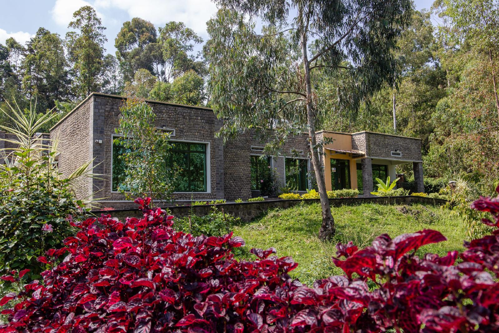 Musanze Caves Hotel