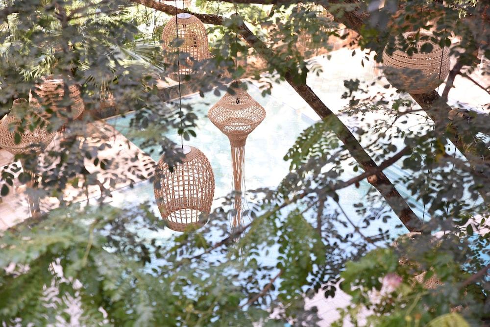 Saman Boutique Hotel & Residences
