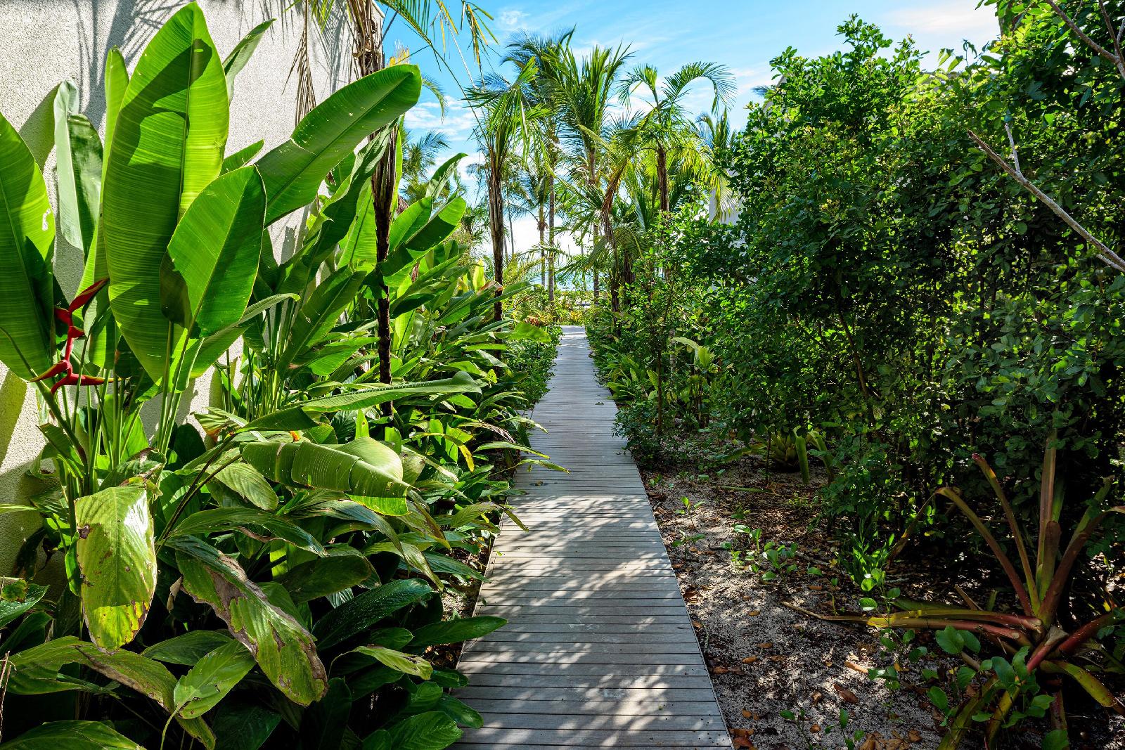Fasano Trancoso