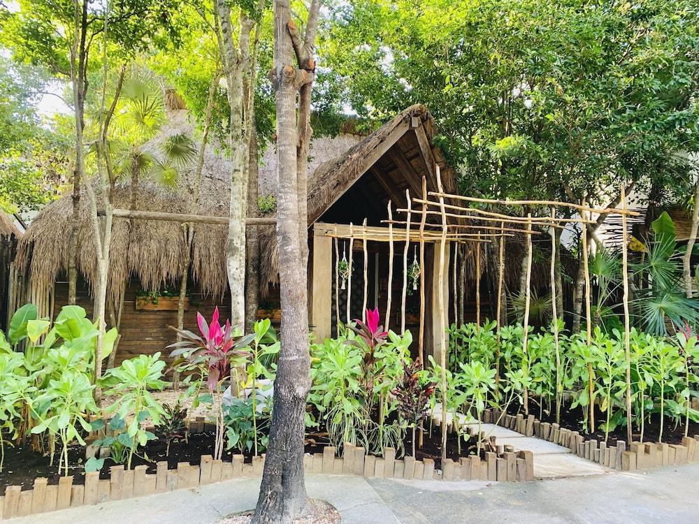 Orchid House Tulum