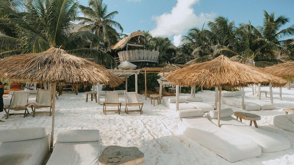 Orchid House Tulum