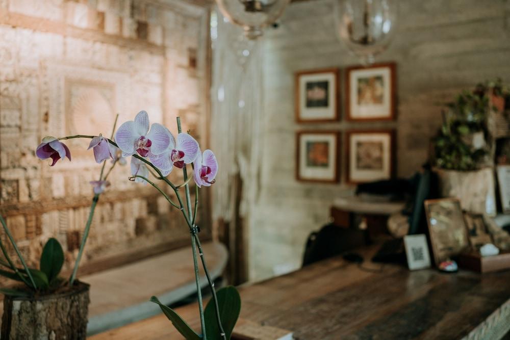 Orchid House Tulum