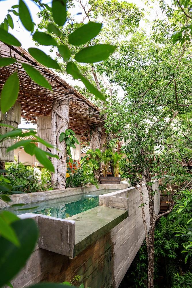 Orchid House Tulum