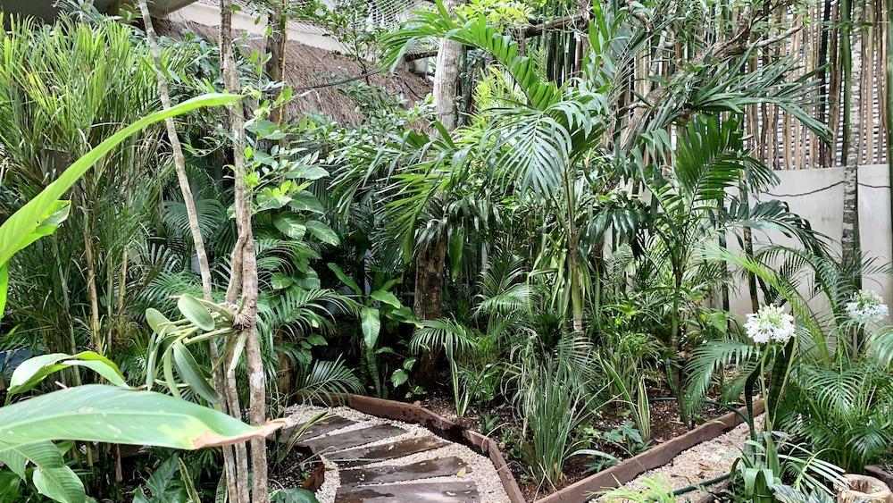 Orchid House Tulum