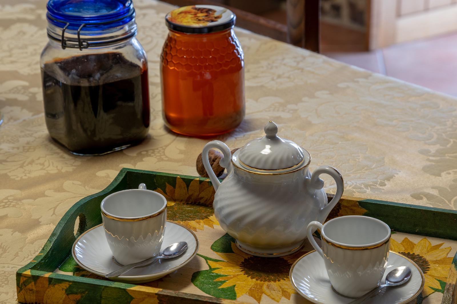 Quinta Eido Oliveira