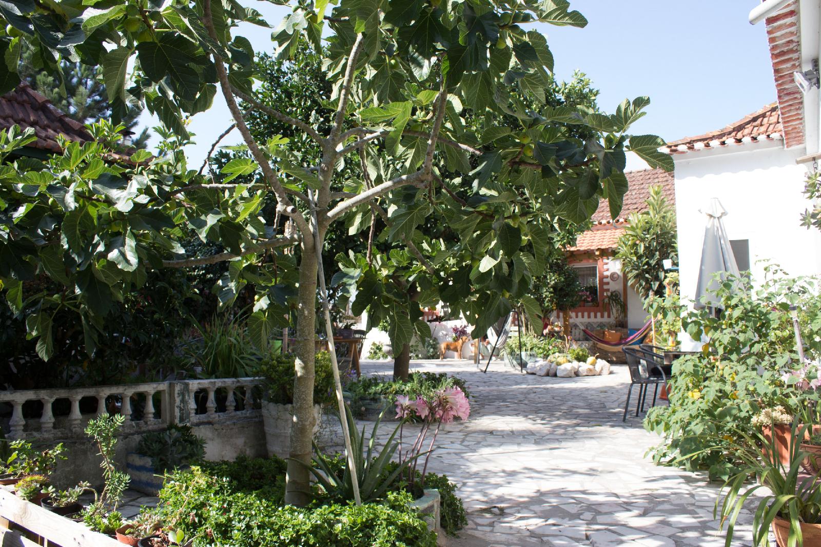 Refugio Do Esquilo