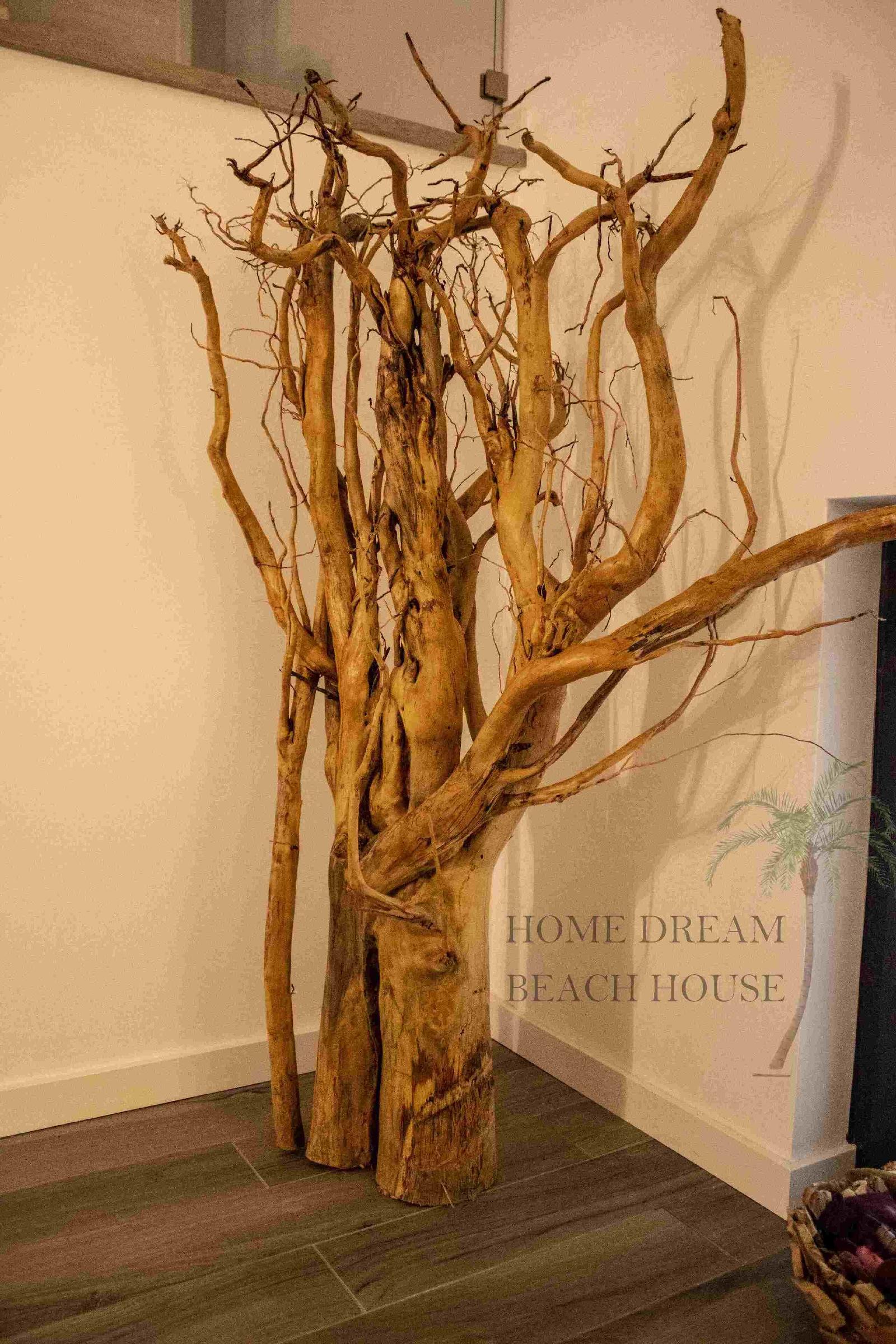 Casa De Sonho